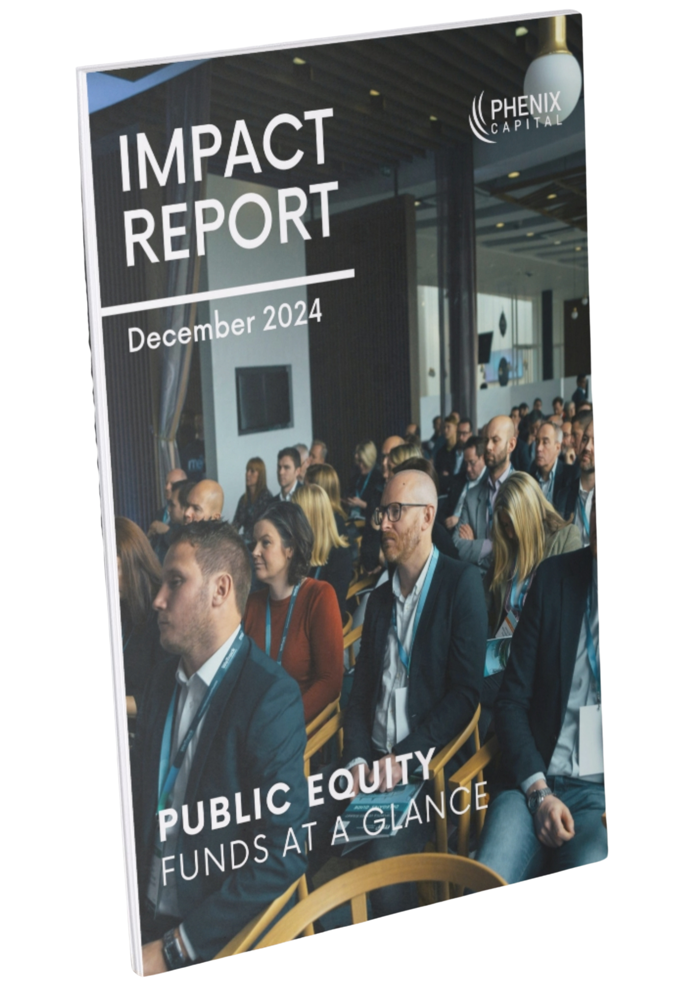 December 2024 - Public Equity - Impact Report