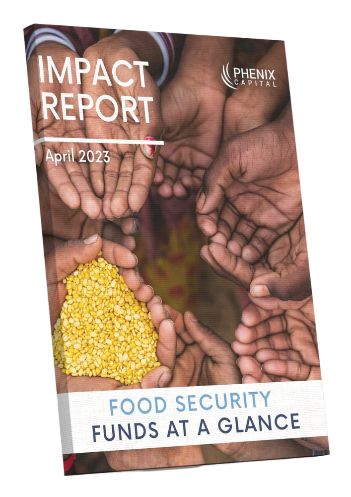 Impact Report - Food security funds