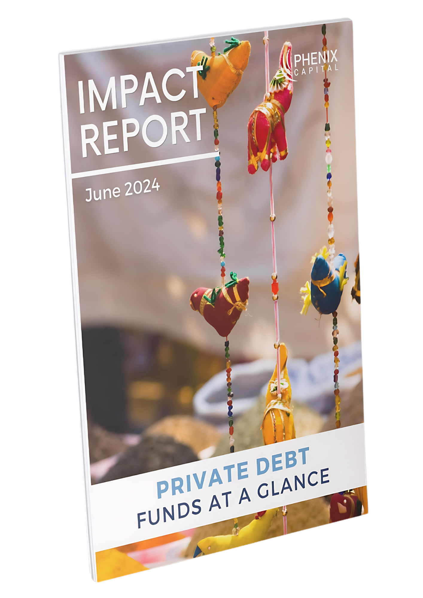 June 2024 - Private Debt - Impact Report Cover