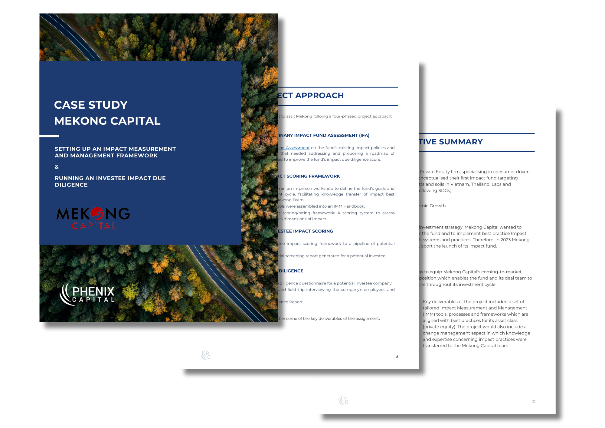 Mekong Case Study Website Graphic (3)