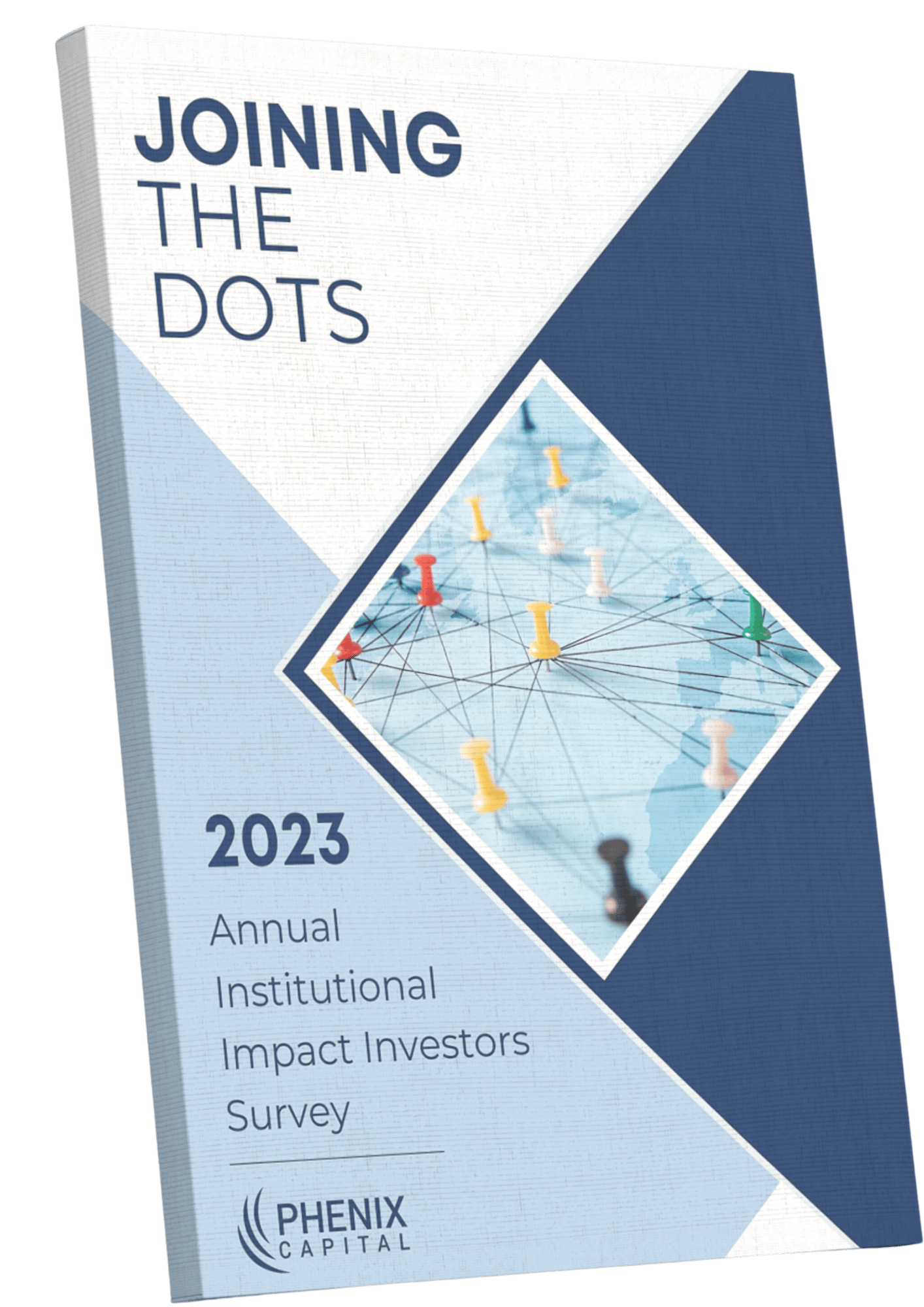 Joining the Dots Impact Investor Survey 