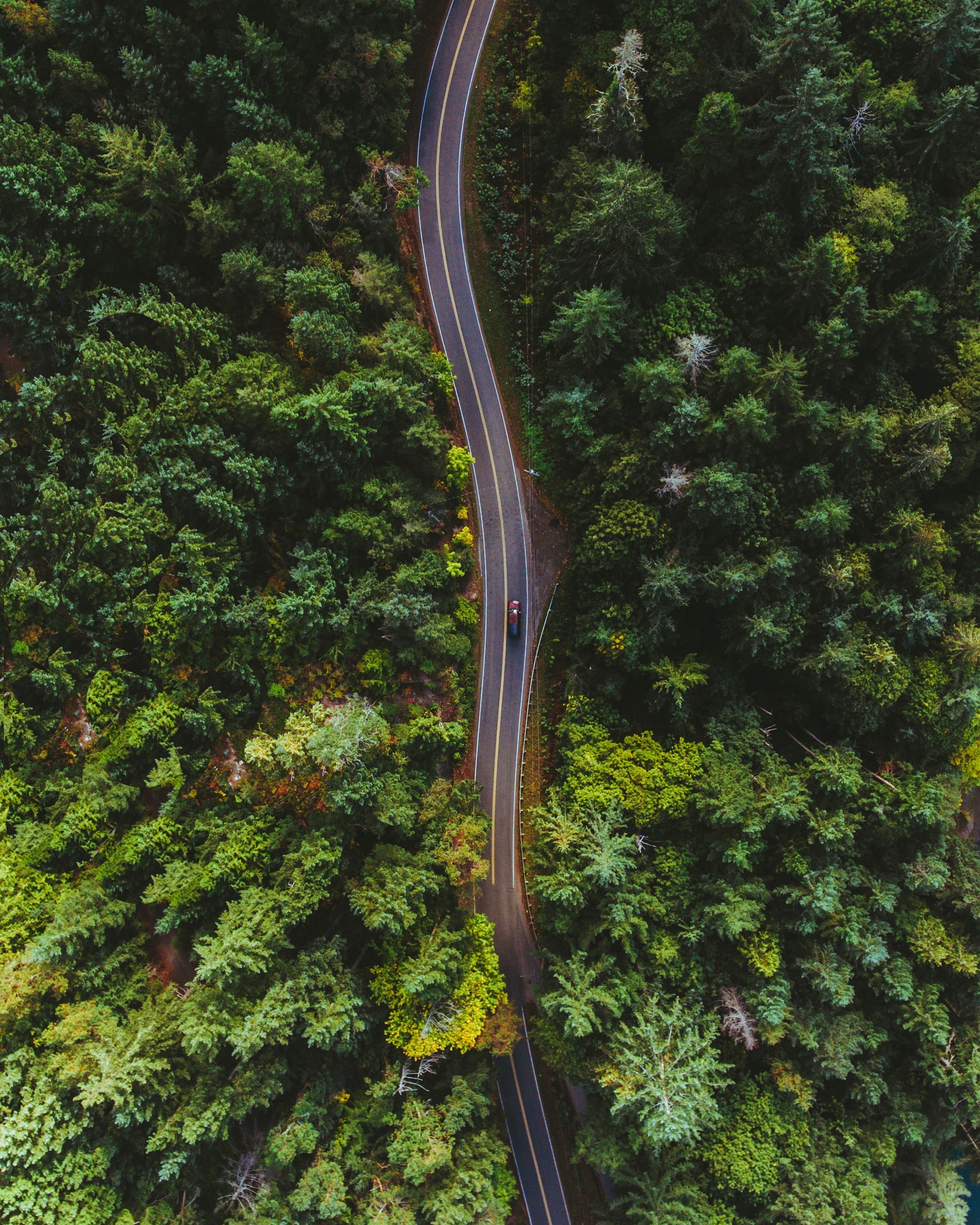 bobby-stevenson-wcOE4AjdbgI-unsplash bobby-stevenson-wcOE4AjdbgI-unsplash