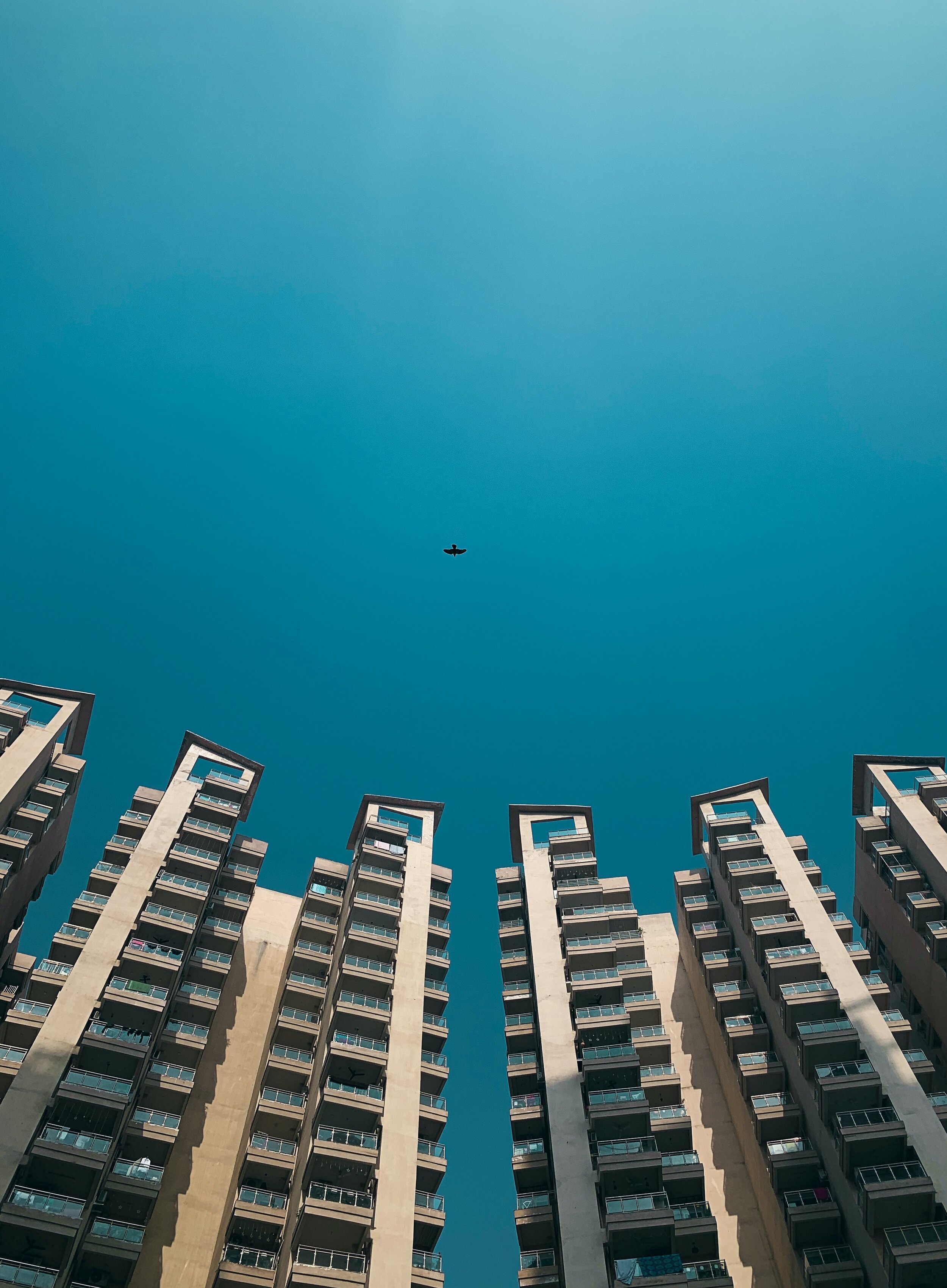 tejasvi-ganjoo-BWIaNqTAoqg-unsplash