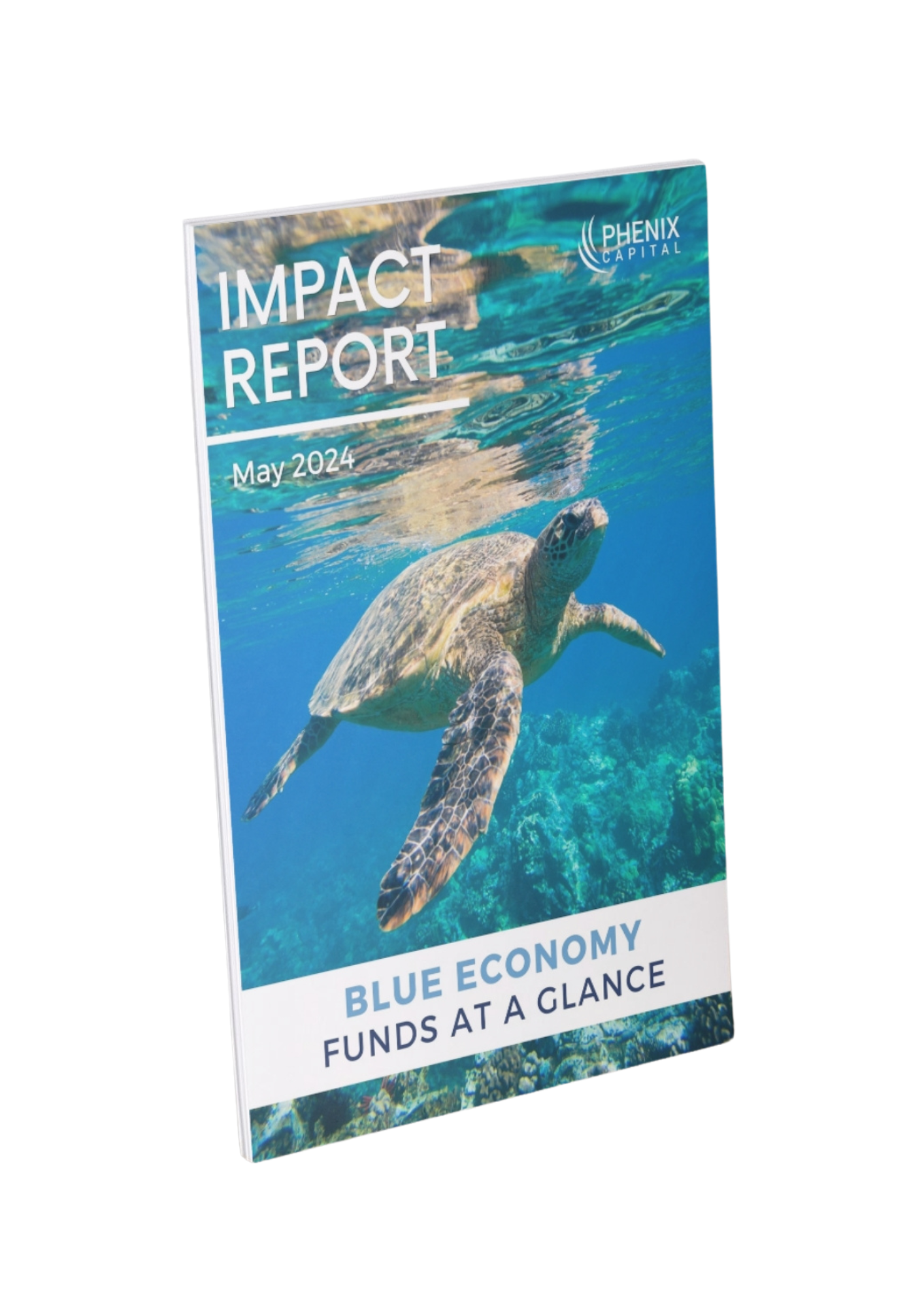 Front Cover - May 2024 - Blue Economy - Impact Report