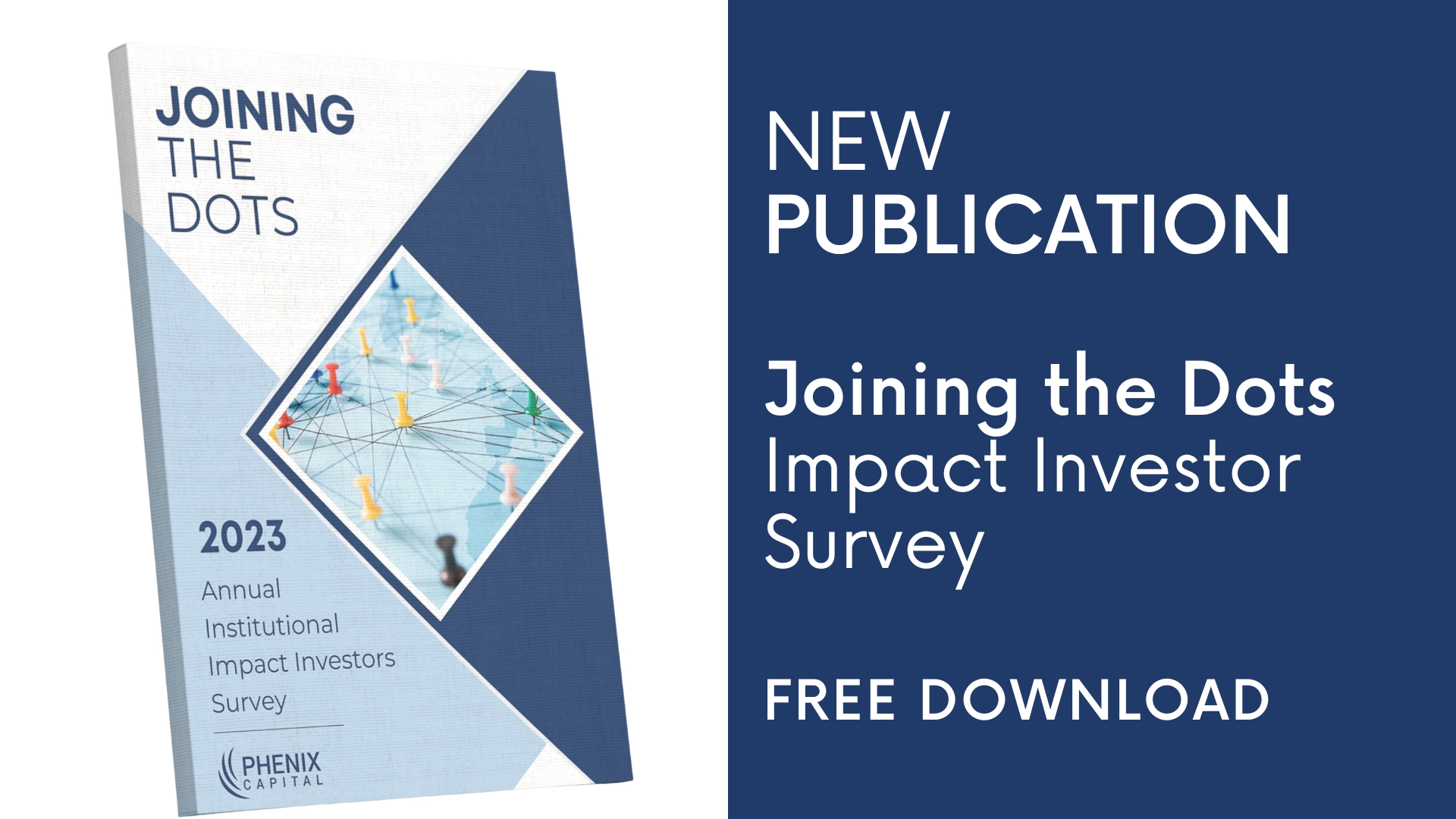 Joining the Dots: Impact Investor Survey Report 2023