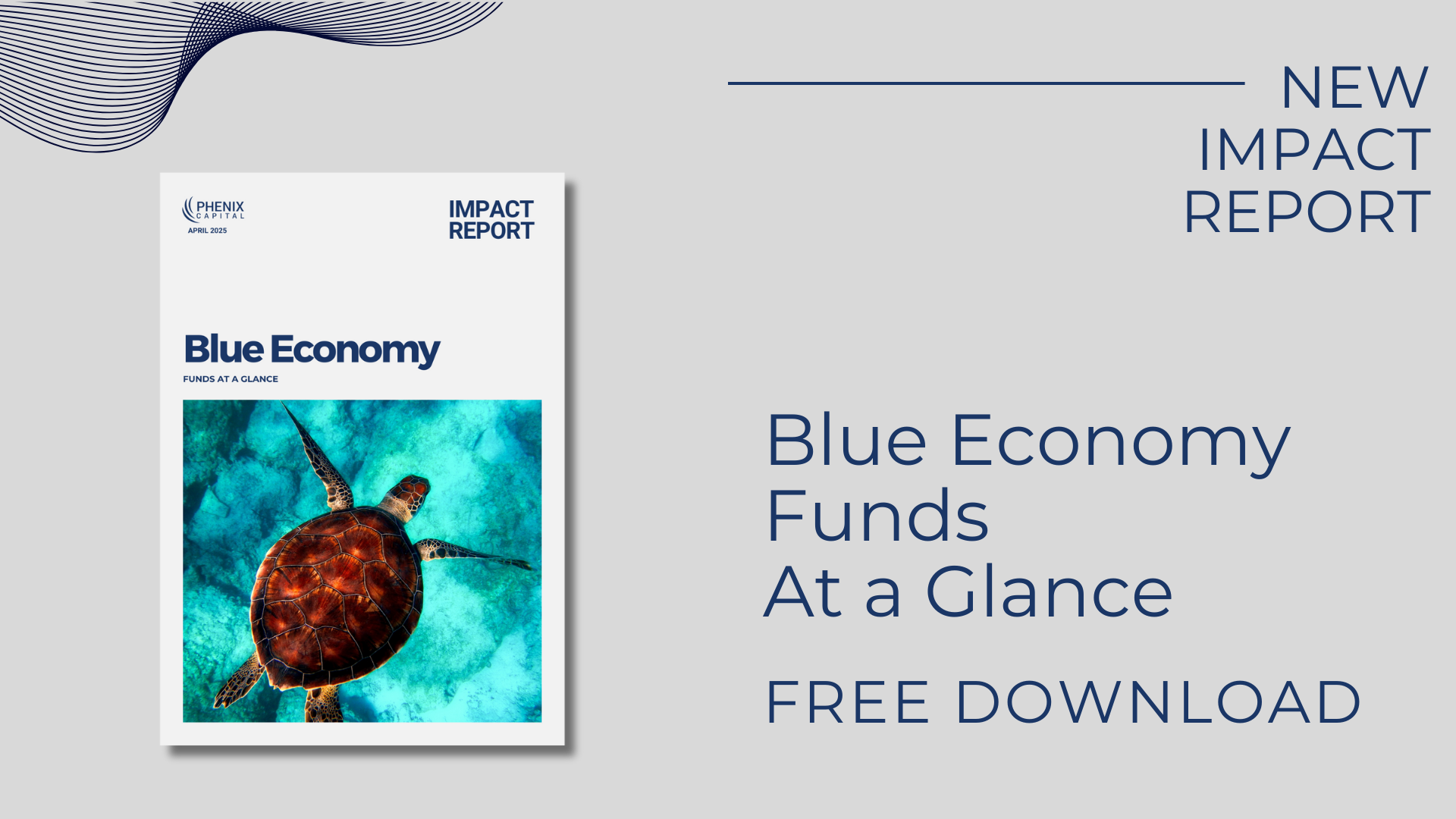 PRESS RELEASE: Blue Economy Impact Funds Report