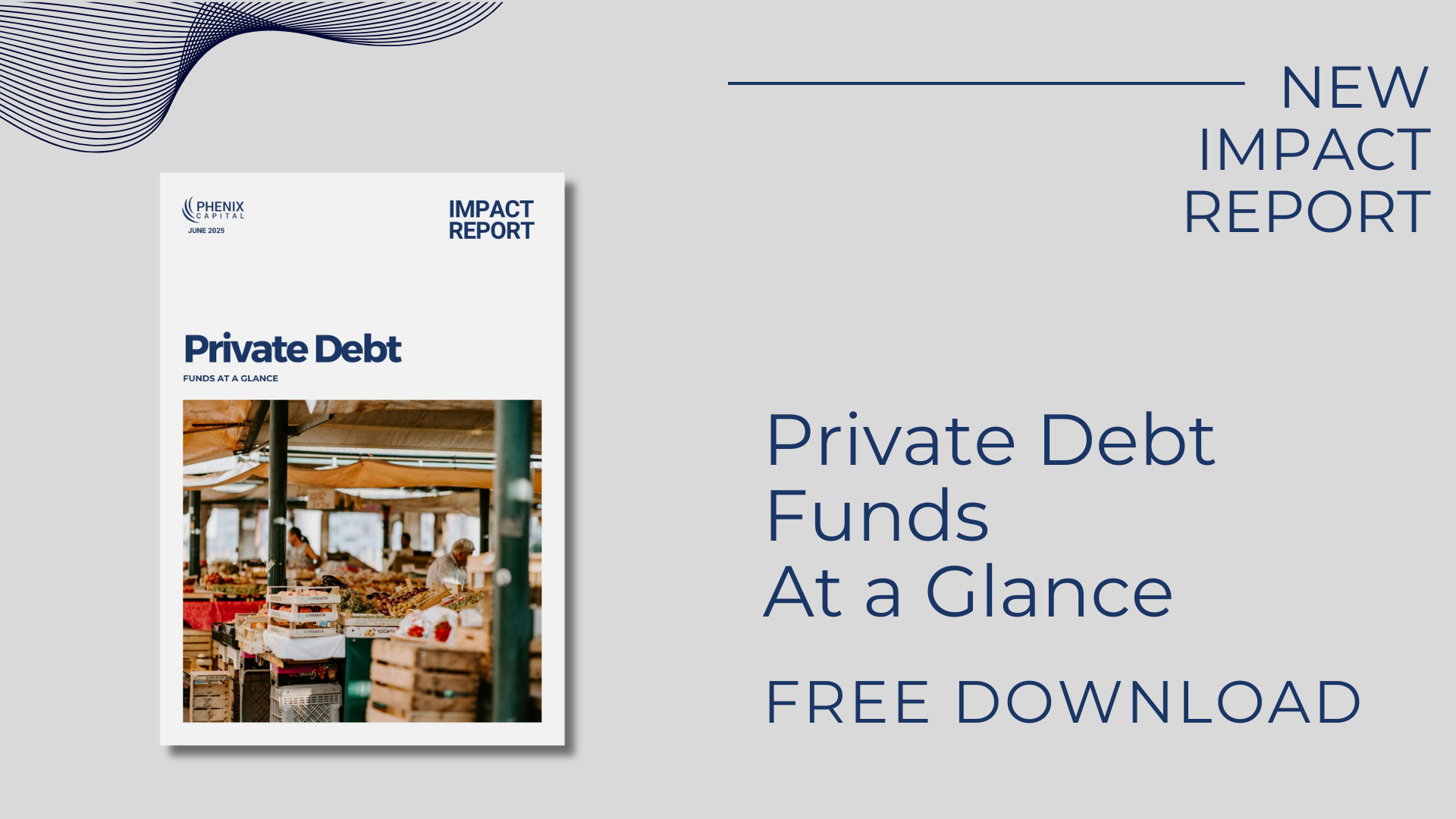 PRESS RELEASE: Private Debt Impact Funds Report