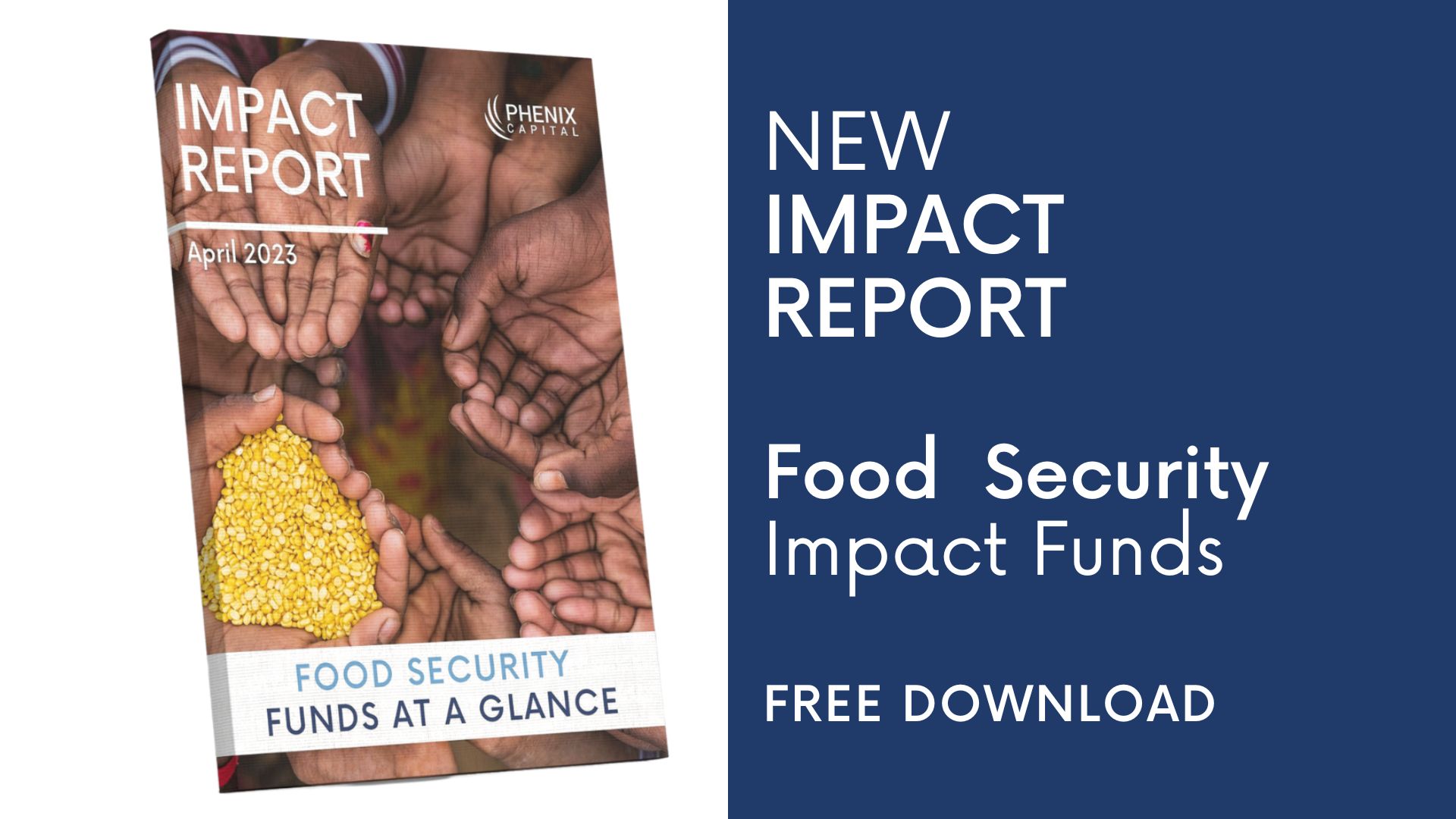 Phenix Capital Group has launched its new Impact Report bringing data on Food Security Funds. The report includes data from commingled impact funds that target the following six impact themes: Access to Food, Foodtech, Smallholder Farming, Sustainable Agriculture & Farming, Sustainable Aquaculture, and Small Scale Fisheries.