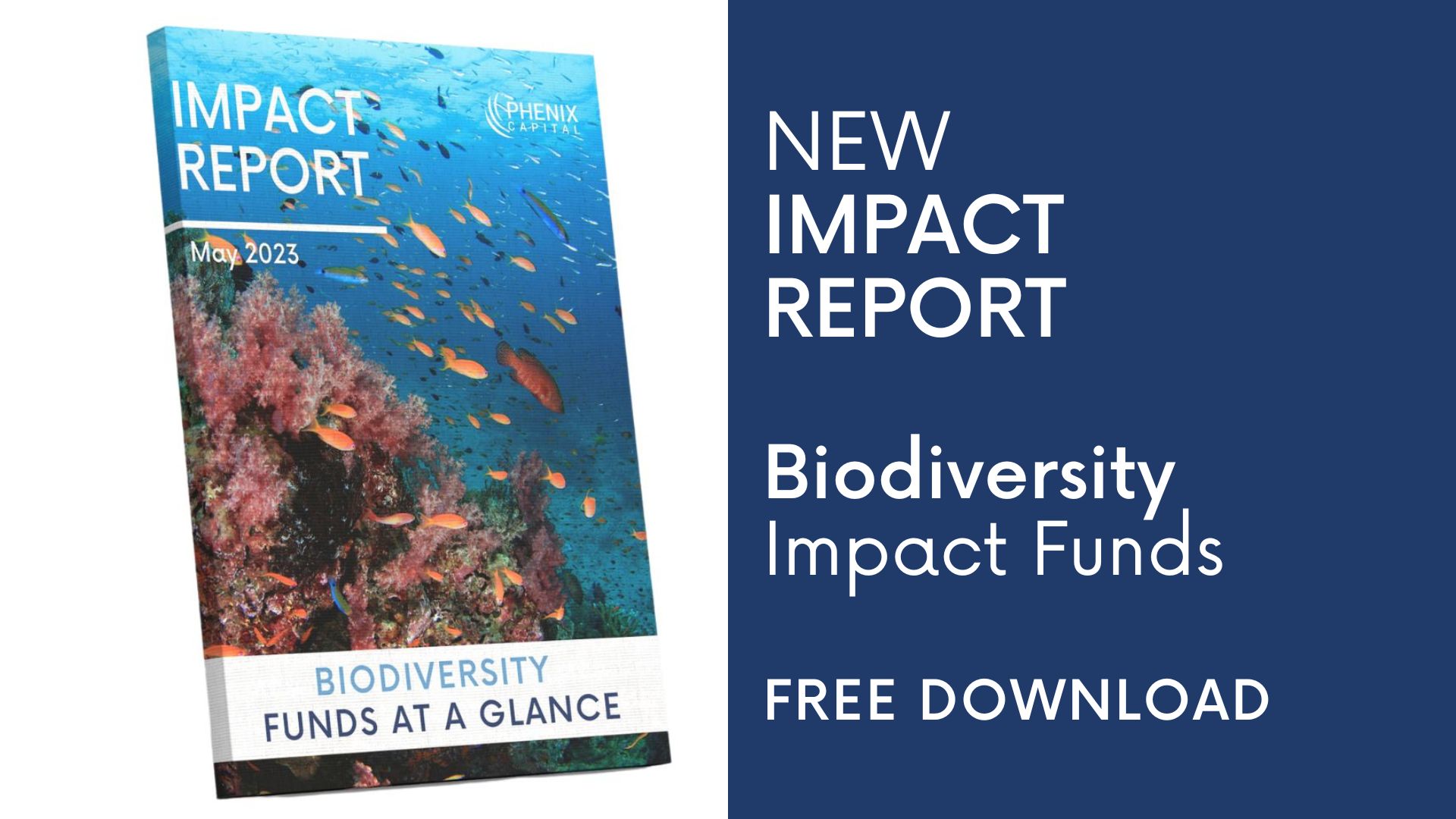 PRESS RELEASE: Biodiversity Funds & Investors