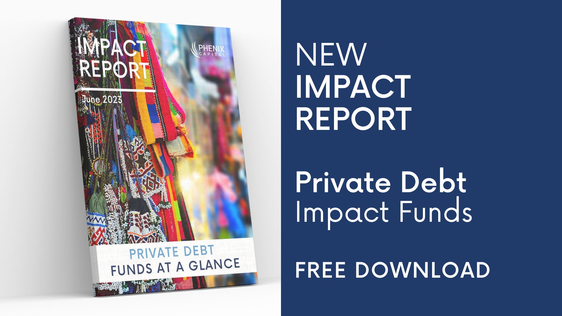 PRESS RELEASE: New report on Private Debt Funds