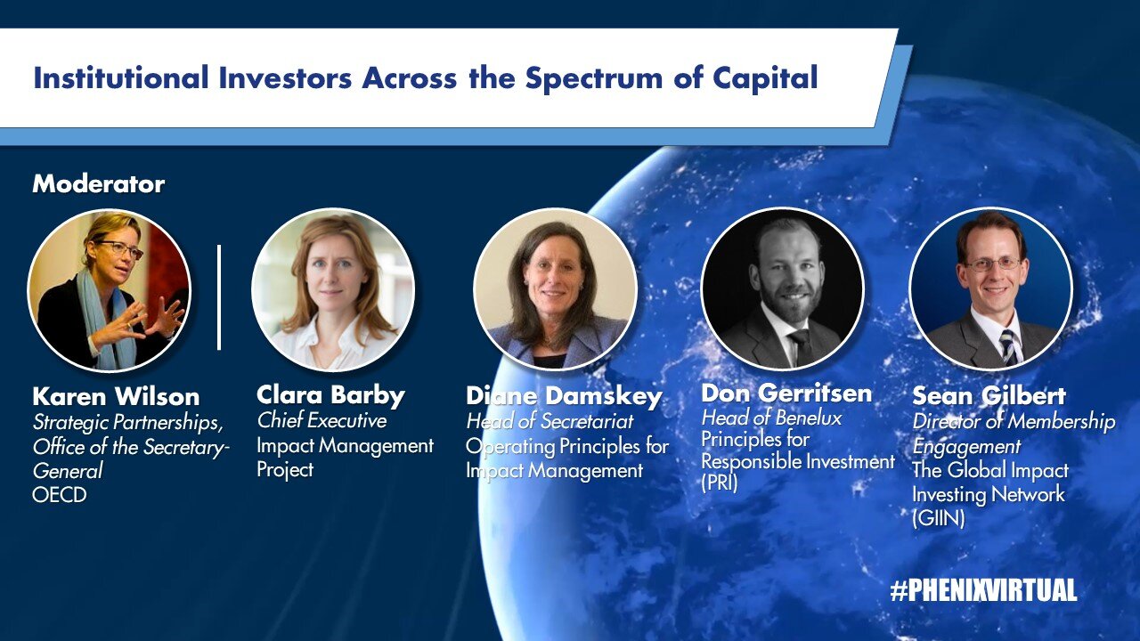 Institutional Investors Across the Spectrum of Capital