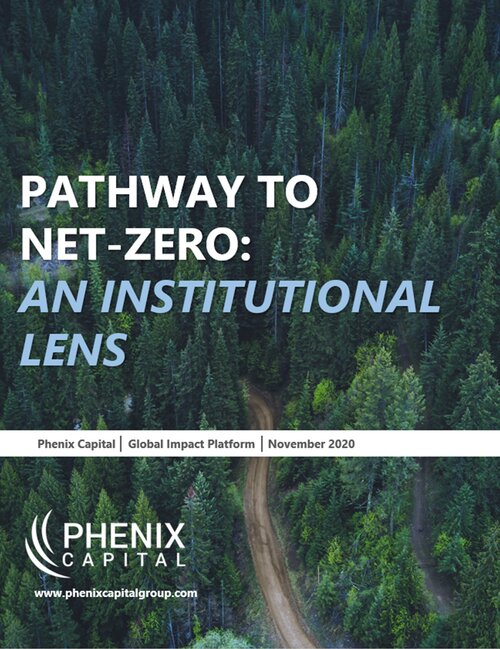 Pathway to Net-Zero: An Institutional Lens