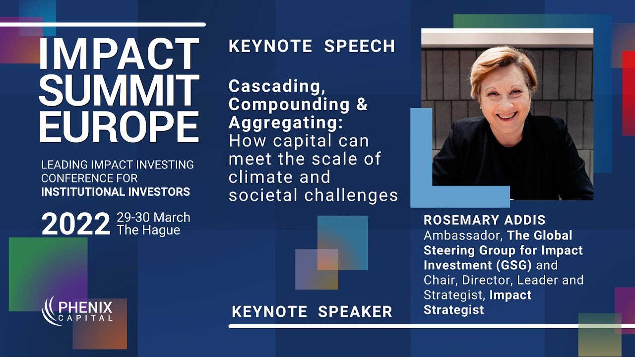 How capital can meet the scale of climate and societal challenges